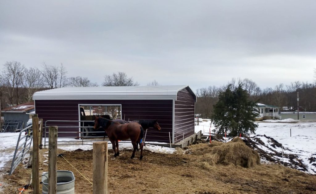 BuLivestock